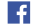 icon facebook